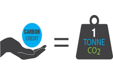 Tín chỉ các-bon (Carbon Credit) là gì? Ví dụ về tín chỉ các-bon