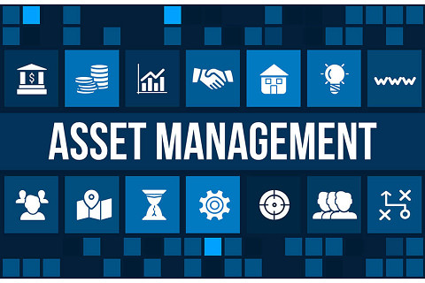 Quản lí tài sản (Asset Management) là gì? Ví dụ về tổ chức quản lí tài sản