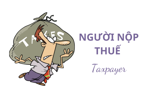 Người nộp thuế (Taxpayer) là ai? Qui định cụ thể về người nộp thuế ở Việt Nam