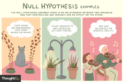 Giả thuyết không (Null Hypothesis) là gì? Ví dụ về giả thuyết không