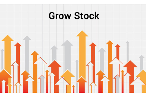 Cổ phiếu tăng trưởng (Growth Stock) là gì? So sánh với cổ phiếu giá trị