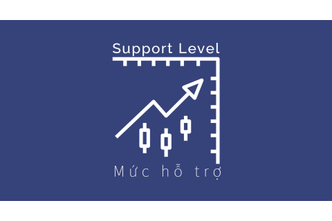 Mức hỗ trợ (Support Level) là gì? Sự khác biệt giữa mức hỗ trợ và mức kháng cự