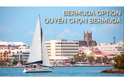 Quyền chọn Bermuda (Bermuda Option) là gì? Ưu và nhược điểm