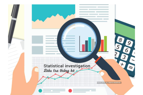 Điều tra thống kê (Statistical investigation) là gì?