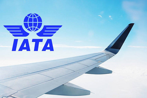 Hiệp hội vận tải hàng không quốc tế (International Air Transport Association - IATA) là gì?