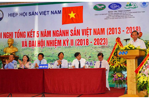 Hiệp hội Sắn Việt Nam (VietNam Cassava association) là gì?