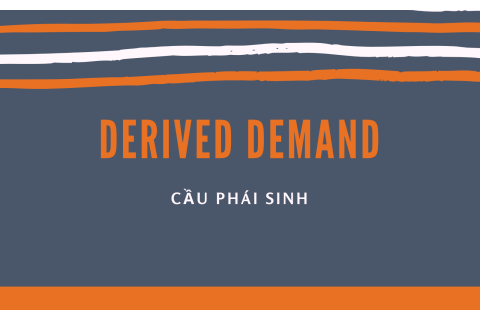 Cầu phái sinh (Derived Demand) đối với hàng hóa và dịch vụ là gì?