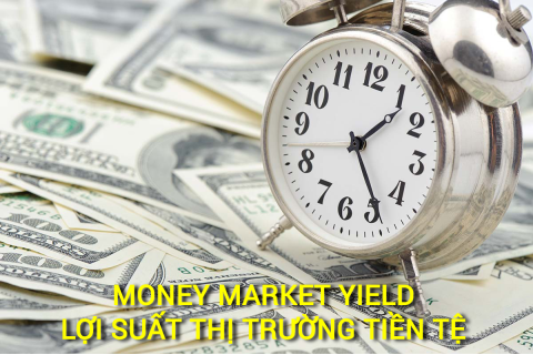 Lợi suất thị trường tiền tệ (Money Market Yield) là gì? Những đặc điểm cần lưu ý