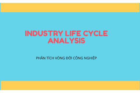 Phân tích vòng đời ngành công nghiệp (Industry Life Cycle Analysis) là gì? Ví dụ