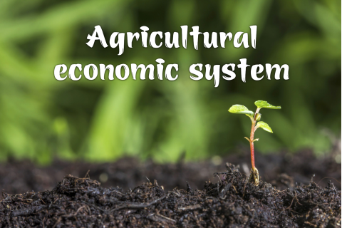 Hệ thống kinh tế nông nghiệp (Agricultural economic system) là gì?