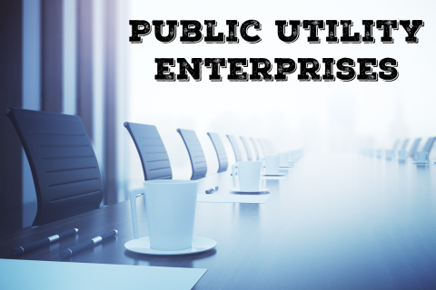 Doanh nghiệp Nhà nước công ích (Public utility enterprises) là gì?