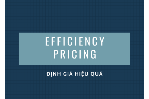 Định giá hiệu quả (Efficiency pricing) là gì?