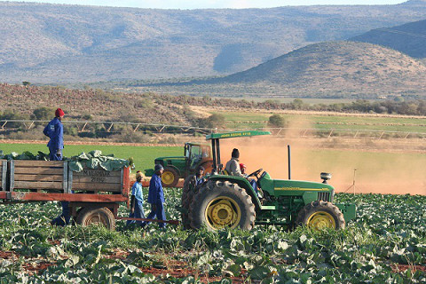 Nguồn nhân lực trong nông nghiệp (Agricultural Human Resource) là gì?