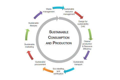 Sản xuất và tiêu dùng bền vững (Sustainable production and consumption) là gì?