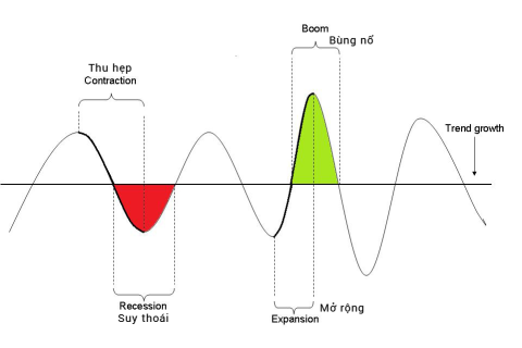 Sự thu hẹp (Contraction) là gì? Những đặc điểm cần chú ý