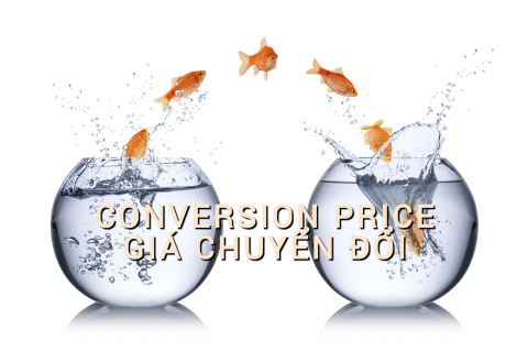 Giá chuyển đổi (Conversion Price) là gì? Những đặc điểm cần lưu ý