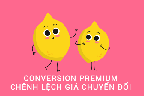 Chênh lệch giá chuyển đổi (Conversion Premium) là gì?