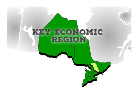 Vùng kinh tế trọng điểm (Key economic region) là gì?