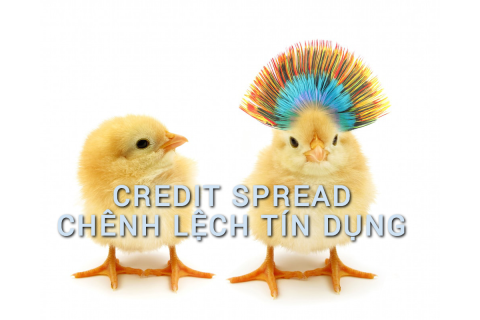 Chênh lệch tín dụng (Credit Spread) là gì? Những đặc điểm cần lưu ý