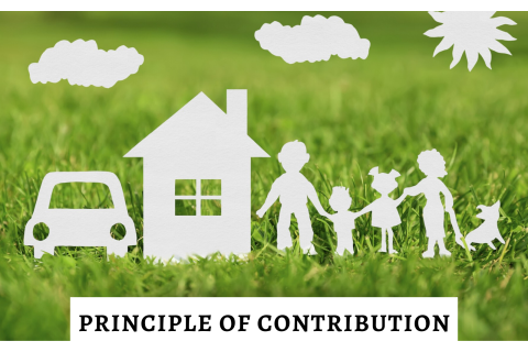 Nguyên tắc đóng góp (Principle of contribution) trong bảo hiểm là gì?