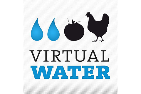 Nước ảo (Virtual water) là gì? Vấn đề xuất nhập khẩu nước ảo