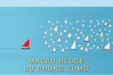 Dự phòng vĩ mô (Macro-hedge) là gì? Những đặc điểm cần lưu ý