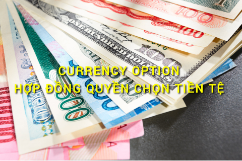 Hợp đồng quyền chọn tiền tệ (Currency Option) là gì? Những đặc điểm cần lưu ý