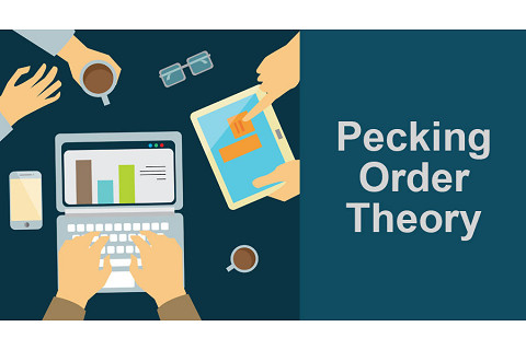 Lí thuyết trật tự phân hạng (Pecking Order Theory) là gì?