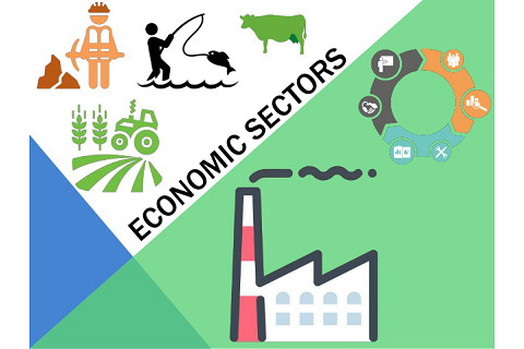 Ngành kinh tế (Economic sectors) là gì? Các ngành cơ bản