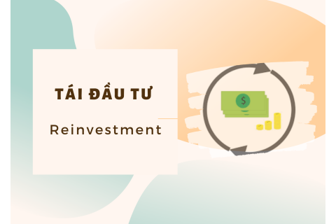 Tái đầu tư (Reinvestment) là gì? Đặc trưng của tái đầu tư