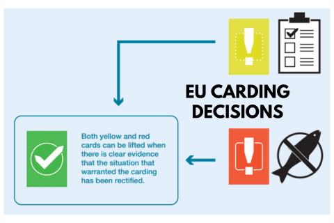 Quyết định ghi thẻ của EU trong thủy sản là gì? Khi nào một quốc gia nhận thẻ vàng, thẻ đỏ?