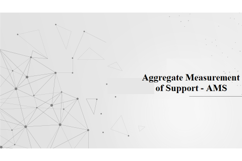 Lượng hỗ trợ tính gộp (Aggregate Measurement of Support - AMS) là gì?