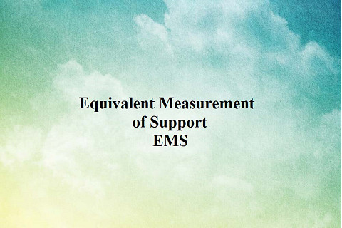 Lượng hỗ trợ tương đương (Equivalent Measurement of Support - EMS) là gì?