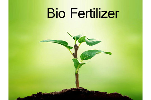 Hiệp hội Phân bón sinh học Việt Nam (Vietnam Biofertilizer Association - VIBIFA) là gì?