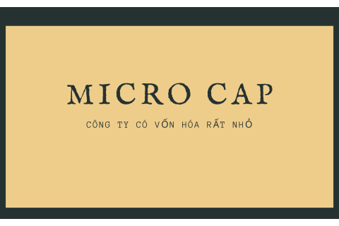 Công ty có vốn hóa rất nhỏ (Micro Cap) là gì? Nội dung liên quan đến công ty có vốn hóa rất nhỏ