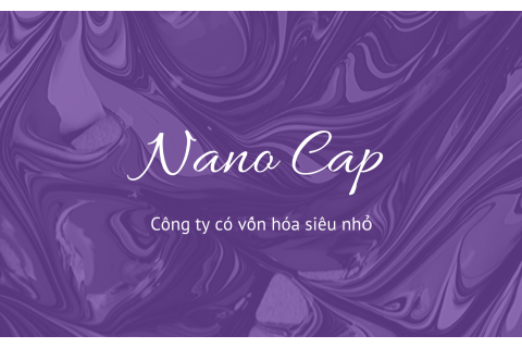 Công ty có vốn hóa siêu nhỏ (Nano Cap) là gì? Nội dung về công ty có vốn hóa siêu nhỏ