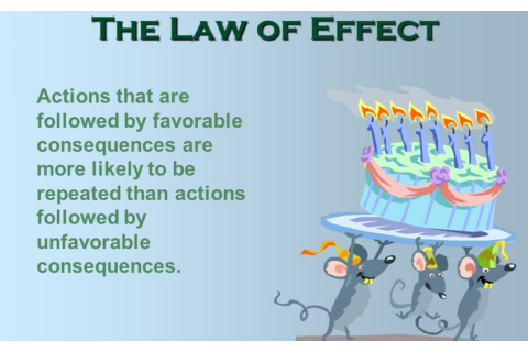 Qui luật hiệu ứng (Law of effect) là gì? Ứng dụng trong kinh doanh