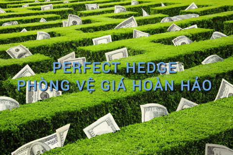 Phòng vệ giá hoàn hảo (Perfect Hedge) là gì? Những đặc điểm cần lưu ý