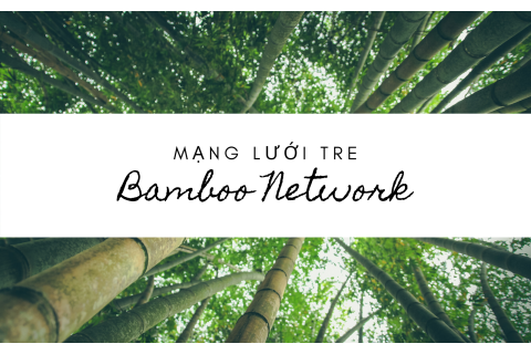 Mạng lưới tre (Bamboo Network) là gì? Nội dung về Mạng lưới tre