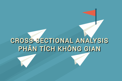 Phân tích không gian (Cross-Sectional Analysis) là gì? Những đặc điểm cần lưu ý