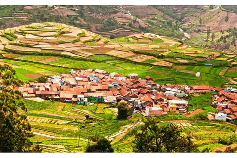 Điểm dân cư nông thôn (Rural Settlement) là gì?