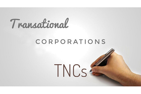 Công ty xuyên quốc gia (Transnational Corporations – TNCs) là gì?