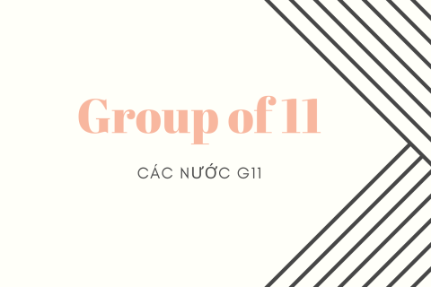 Các nước G11 (Group of 11) là gì? Nội dung về các nước G-11