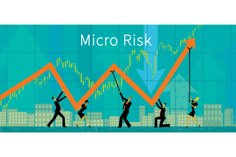 Rủi ro vi mô (Micro Risk) là gì? Các loại Rủi ro vi mô