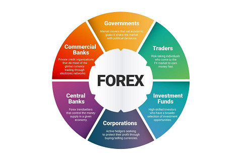 Thị trường ngoại hối (Forex Market) là gì? Đặc điểm và chức năng