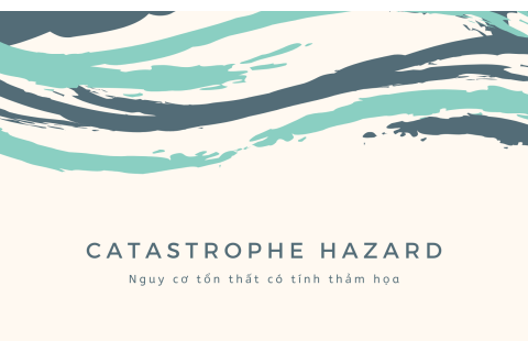 Nguy cơ tổn thất có tính thảm họa (Catastrophe Hazard) là gì?