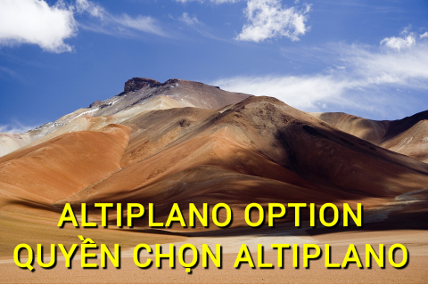 Quyền chọn Altiplano (Altiplano Option) là gì? Những đặc điểm cần lưu ý