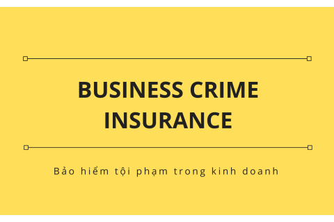 Bảo hiểm tội phạm trong kinh doanh (Business Crime Insurance) là gì?