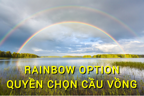 Quyền chọn cầu vồng (Rainbow Option) là gì? Những đặc điểm cần lưu ý