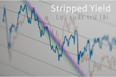 Lợi suất trừ lãi (Stripped Yield) là gì? Lợi suất trừ lãi của Trái phiếu Brady và Cổ phần ưu đãi